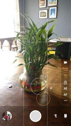 The Best Android Apps on the Google Play Store for 2019