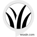 7 Useful Allergy Apps to Help You Avoid Spring Allergies