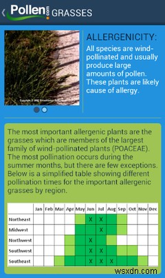 7 Useful Allergy Apps to Help You Avoid Spring Allergies