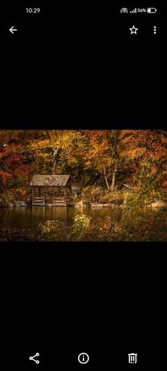 How to Open and Convert HEIC Images on Android