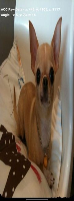 How to Access the Secret Hardware Diagnostic Menu on Your Samsung Phone