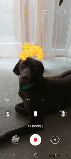 What Is the AR Zone App on Samsung Phones and Can You Remove It?