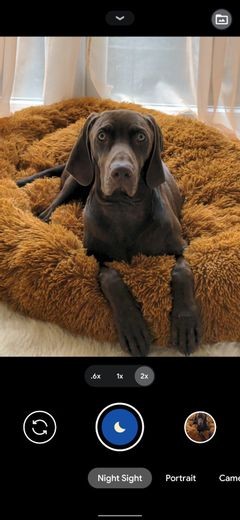 6 Google Pixel Features That Help You Take Fantastic Selfies