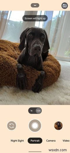 6 Google Pixel Features That Help You Take Fantastic Selfies