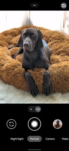 6 Google Pixel Features That Help You Take Fantastic Selfies