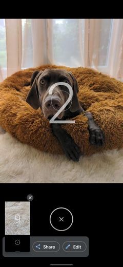 6 Google Pixel Features That Help You Take Fantastic Selfies