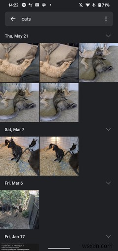 10 Things You Didnt Know Google Assistant Could Do