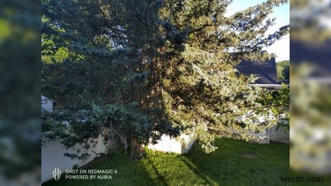 Nubia Red Magic 6 Pro Gaming Phone Review: The Advantage is Real