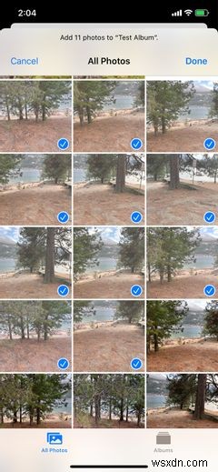 How to Organize Your Photos on iPhone