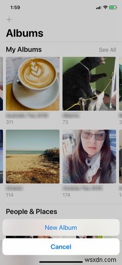 How to Organize Your Photos on iPhone