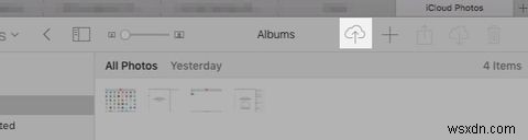 The iCloud Photos Master Guide: Everything You Need to Know for Photo Management