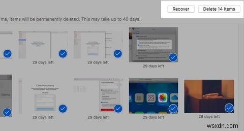 The iCloud Photos Master Guide: Everything You Need to Know for Photo Management