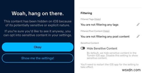 How Tumblrs iOS App Is Beating Apples App Store Guidelines