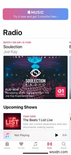 The Best iPhone Music Apps and Alternative Music Managers for iOS