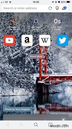 The 8 Fastest Mini Browsers for iPhone