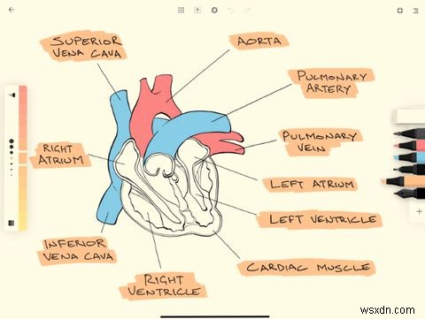 The 15 Best Apps for the Apple Pencil