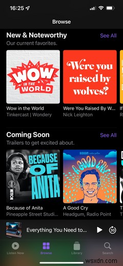 A Guide to Apples Podcasts App on iPhone