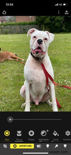 3 Easy iPhone Photography Apps to Help Beginner Photographers