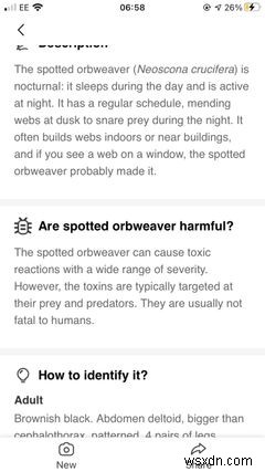 The Top 5 Apps on iPhone for Identifying Bugs and Insects
