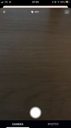 The Top 5 Apps on iPhone for Identifying Bugs and Insects