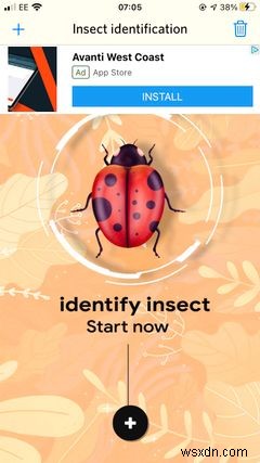 The Top 5 Apps on iPhone for Identifying Bugs and Insects
