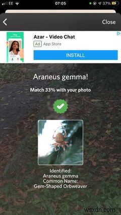 The Top 5 Apps on iPhone for Identifying Bugs and Insects