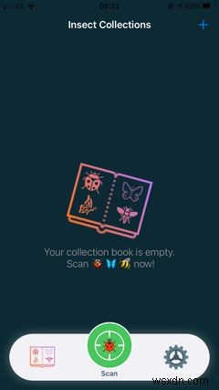 The Top 5 Apps on iPhone for Identifying Bugs and Insects