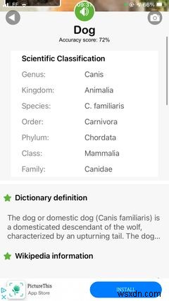 The Top 5 Apps on iPhone for Identifying Bugs and Insects