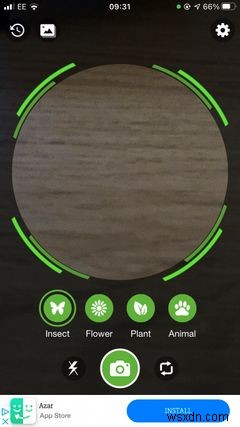 The Top 5 Apps on iPhone for Identifying Bugs and Insects