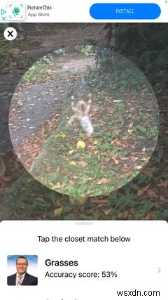 The Top 5 Apps on iPhone for Identifying Bugs and Insects