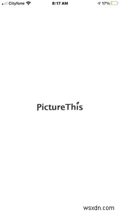 10 iPhone Apps for the Perfect Camping Getaway