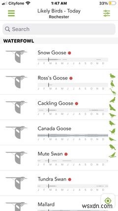 10 iPhone Apps for the Perfect Camping Getaway