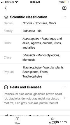 10 iPhone Apps for the Perfect Camping Getaway