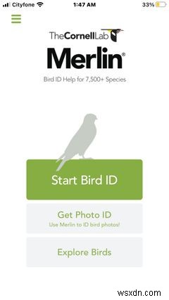 10 iPhone Apps for the Perfect Camping Getaway