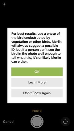 10 iPhone Apps for the Perfect Camping Getaway