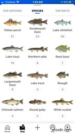 10 iPhone Apps for the Perfect Camping Getaway