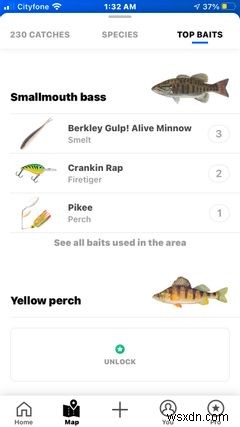 10 iPhone Apps for the Perfect Camping Getaway