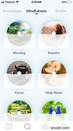 The 8 Best Period Tracking Apps for Your iPhone