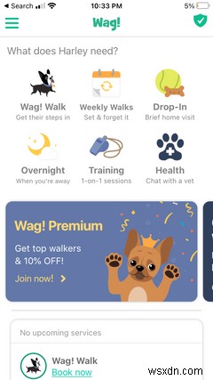 7 Must-Have iPhone Apps for All Dog Owners