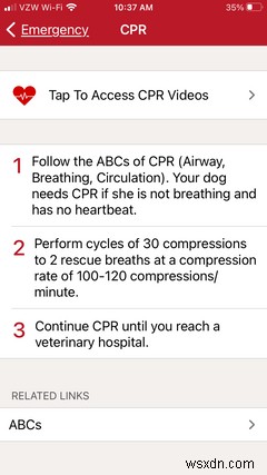 7 Must-Have iPhone Apps for All Dog Owners