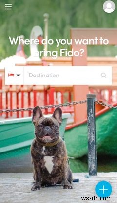 7 Must-Have iPhone Apps for All Dog Owners