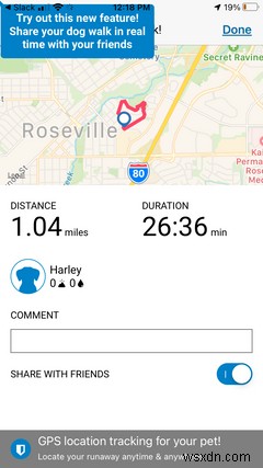 7 Must-Have iPhone Apps for All Dog Owners