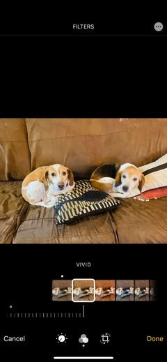 The 9 Best Free Photo Editing Apps on iPhone