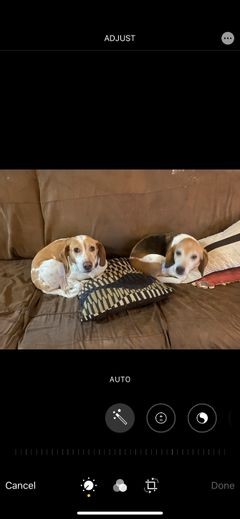 The 9 Best Free Photo Editing Apps on iPhone