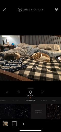 The 9 Best Free Photo Editing Apps on iPhone