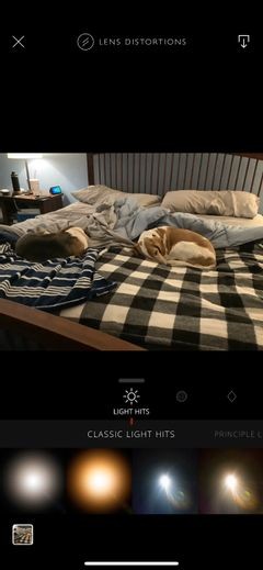The 9 Best Free Photo Editing Apps on iPhone
