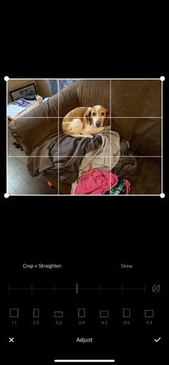 The 9 Best Free Photo Editing Apps on iPhone