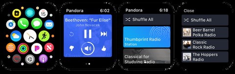 The 5 Best Music Streaming Apps for Apple Watch Users