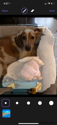 The 4 Best Portrait Mode Apps for Any iPhone