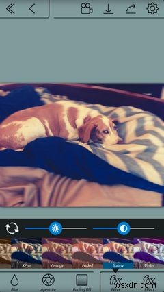 The 4 Best Portrait Mode Apps for Any iPhone